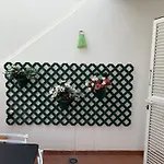 Casa Tipica Canaria Lägenhet *