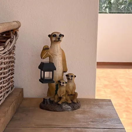 Casa Tipica Canaria *